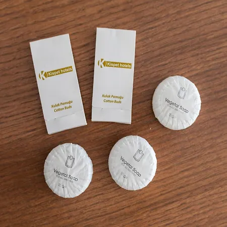 In Oberhausen Near Duesseldorf Appartement